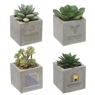 Custom Mini Faux Potted Succulent Plant