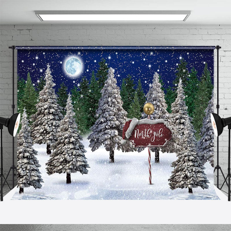 North Pole Winter Wonderland Backdrop