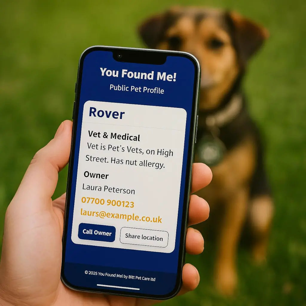 Smart Lost Dog Finder Tag